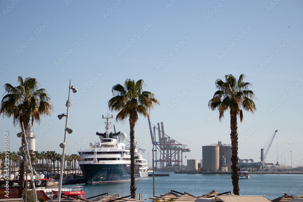 Naklejka premium palms in the harbor