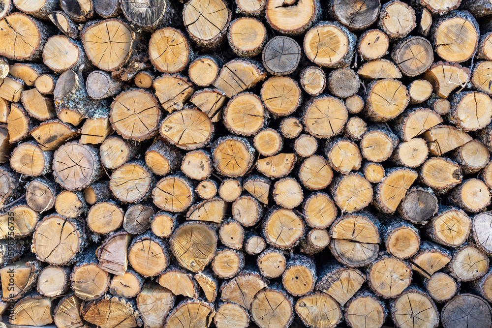 OAK FIREWOODS LOGS STACKED FOR THE FIREPLACE IN WINTER. WOODPILE BACKGROUND. BIOMASS, DEFORESTATION. OAK FIREWOODS LOGS STACKED FOR THE FIREPLACE IN WINTER. WOODPILE BACKGROUND. BIOMASS, DEFORESTATION.