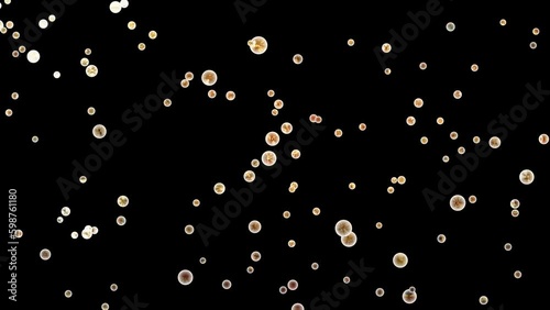 video clip yellow glowing light balls on black background