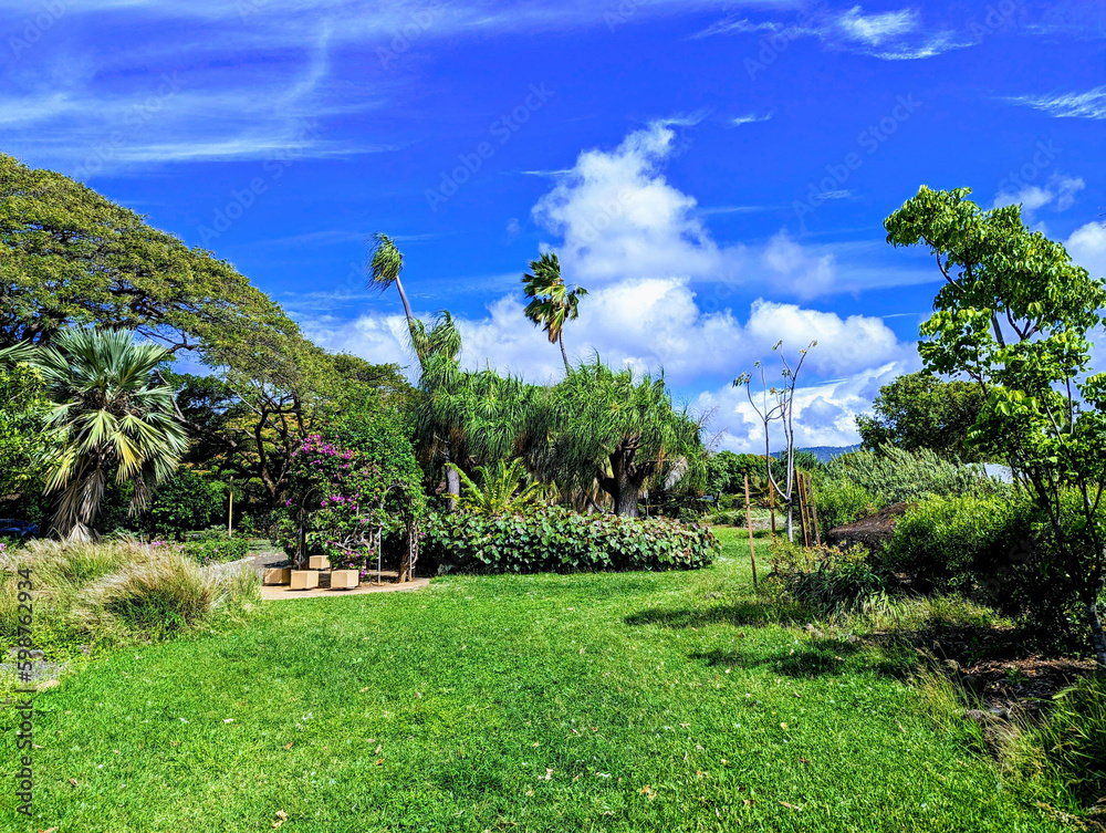 Obraz premium Exploring the Rich History of Queen Kapiolani Garden and Park on Oahu