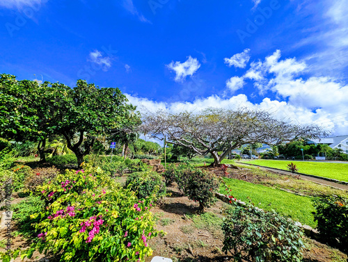 Exploring the Rich History of Queen Kapiolani Garden and Park on Oahu photo