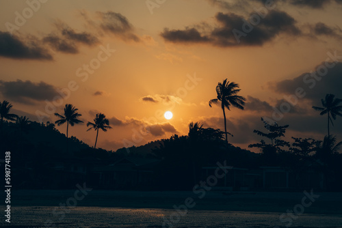 sunset against the backdrop of palm trees