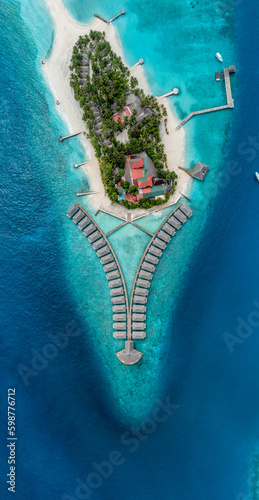 coral reef in the blue sea