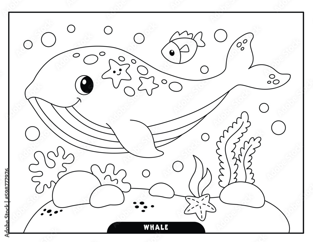 Whale coloring pages for kids Stock Vector | Adobe Stock