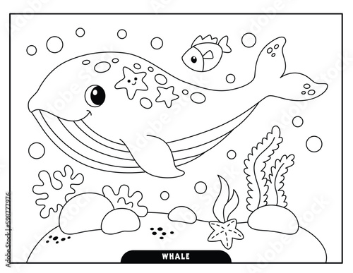 Whale coloring pages for kids