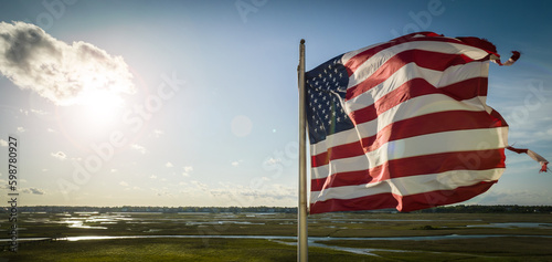 American Flag Adjacent to Wetlands photo