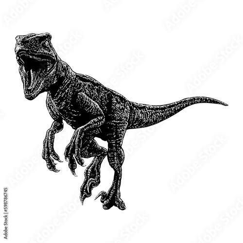 Velociraptor hand drawing vector isolated on background.