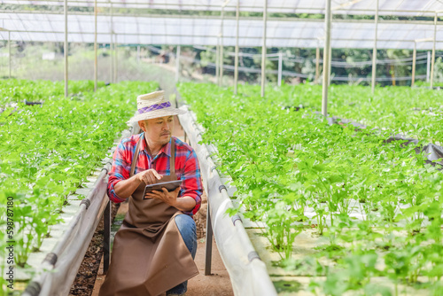 Male gardener using tablet in fresh vegetables farm. Smart agricultural farming concept