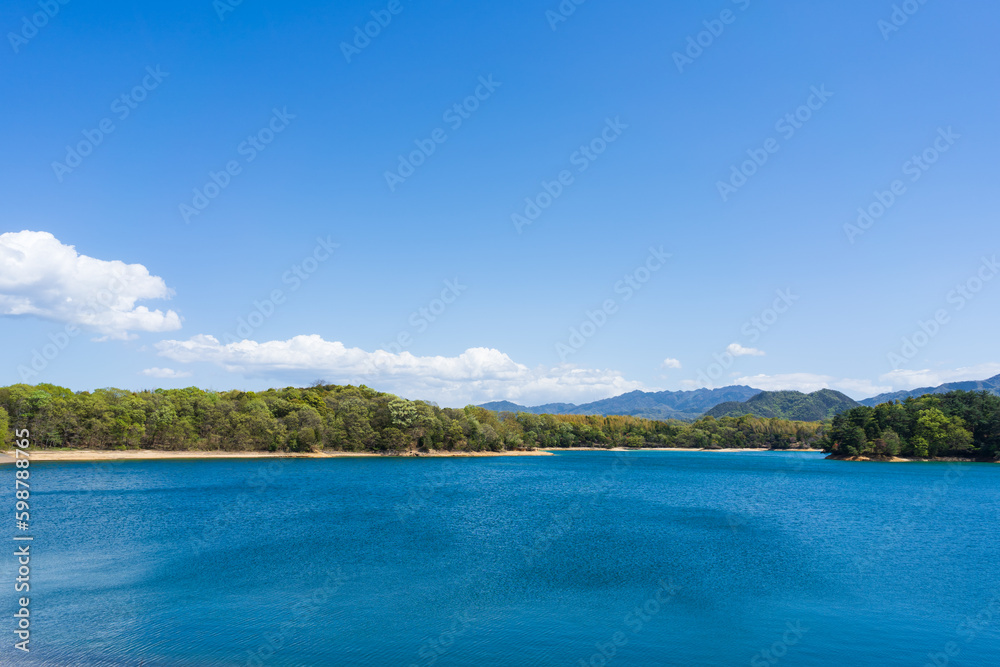 ため池　新緑(香川県高松市公渕森林公園)