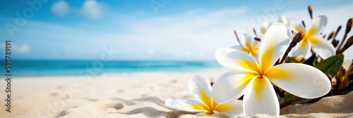 Plumeria (Frangipani) on tropical sea and beach blue sky background, Summer festive time. Generative AI © CYBERUSS