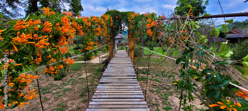 Wooden suspension bridge photo