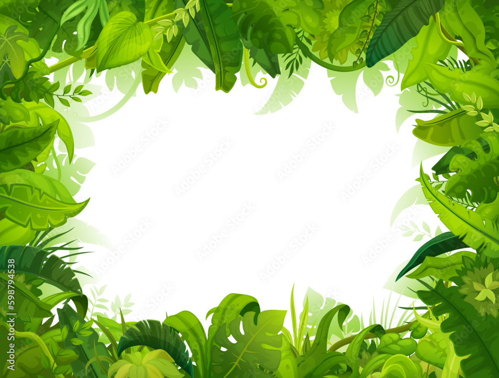 Cartoon jungle frame, green palm leaves background, vector tropical summer forest. Palm leaf and liana, rainforest jungle frame with blank background in jungle trees foliage and Amazon palm leaves