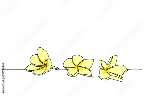 frangipani in simple sketch vector single or continuous line
