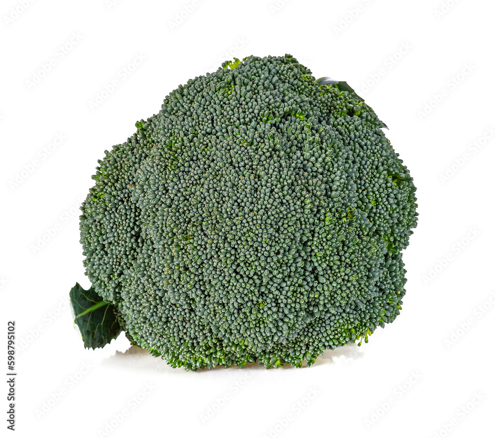 Broccoli isolated on white background. Broccoli isolated on white background.