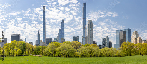 Fototapeta Naklejka Na Ścianę i Meble -  Central Park green meadow and skyscrapers