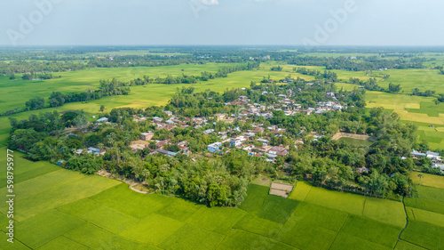 Village in green landscape with buildings and treesthe green field drone aerial landscape photo. greenland bangladesh landscape photo. bogura, bangladesh