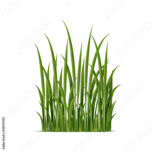 Realistic 3d green cluster of grass with intricate details. Isolated vector natural plant for landscaping, gardening, or environmental themes