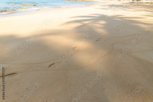 Seamless brown sand textured for background from fine sand in water or sea at beach