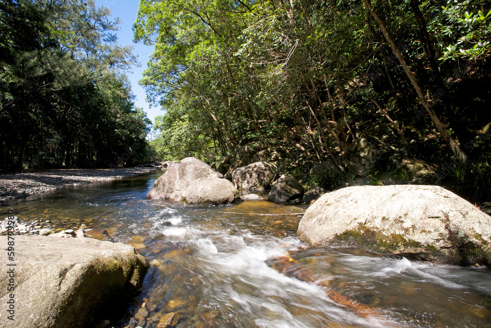 Naklejka premium Never Never River, Bellingen, Australia
