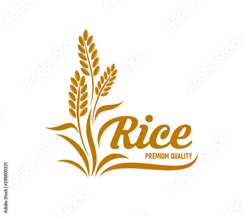 Rice icon with cereal plant and grains, vector food and agriculture crop. Bakery or farm mill isolated symbol with gold silhouette of paddy or jasmine rice leaves, ears and seeds, flour or food label