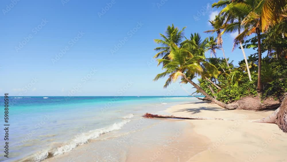 Palm branches against a beautiful sky and blue ocean. Bright leaves move in the wind. Beach travel concept. Paradise Island with Palms. Sea with azure water against the backdrop of a sandy island Palm branches against a beautiful sky and blue ocean. Bright leaves move in the wind. Beach travel concept. Paradise Island with Palms. Sea with azure water against the backdrop of a sandy island