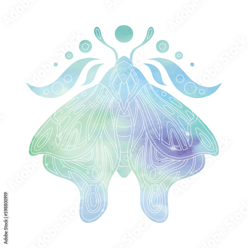 Vector contour illustration of a moth with blue watercolor background. Sacred colorful clipart of a winged insect with the moon.