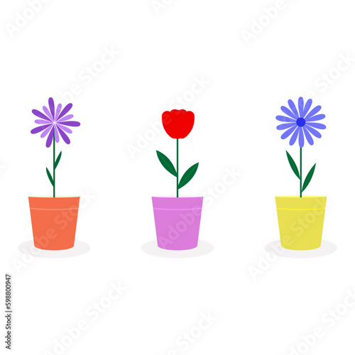 Set of colorful flowers in pots. Bright flat plants in flowerpots. Beautiful vector illustration