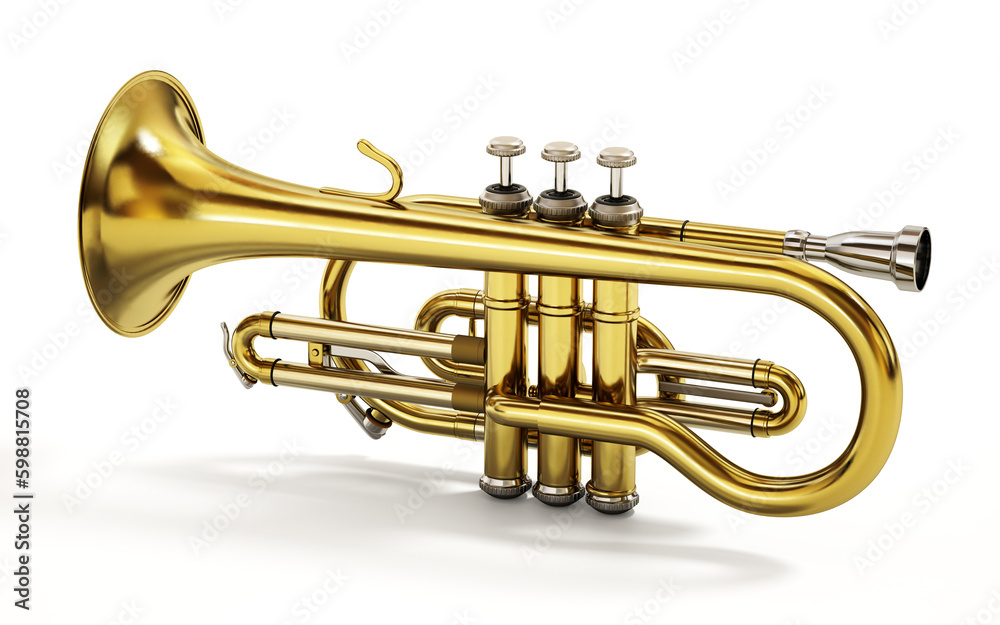 Obraz premium Cornet musical instrument isolated on white background. 3D illustration