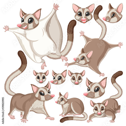 Set of sugar glider character with head and facial expression