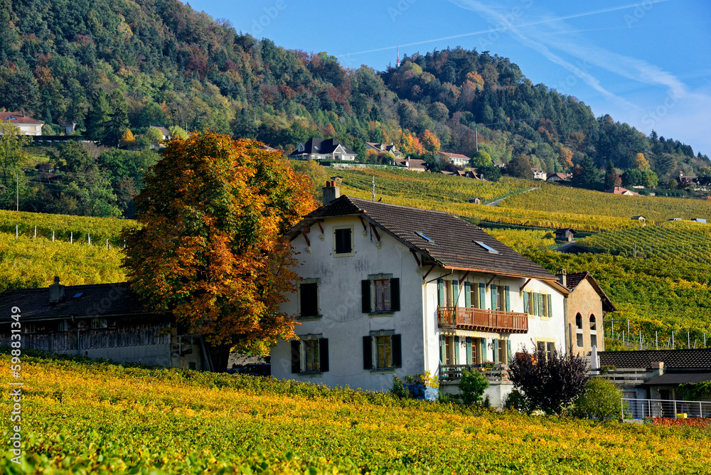 Mont-sur-Rolle, district Nyon, canton Vaud, Switzerland, Europe - autumnal landscape of farmland and forest, entire village is designated as part of Inventory of Swiss Heritage Sites