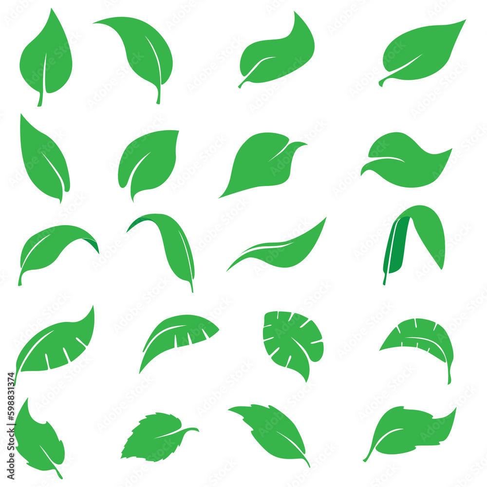 Leaf eco or bio logo icon set, vector Green leaf shape on white background Leaf eco or bio logo icon set, vector Green leaf shape on white background