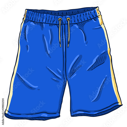 Vector Cartoon Illustration Blue Basketball Shorts