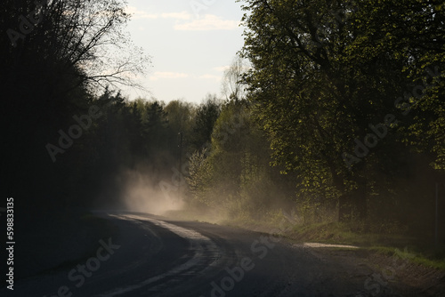 Winding country road through the forest at sunrise. Spring landscape.