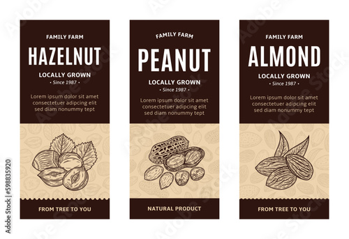 Set of vector nuts and seeds banners. Almond, peanut and hazelnut illustrations