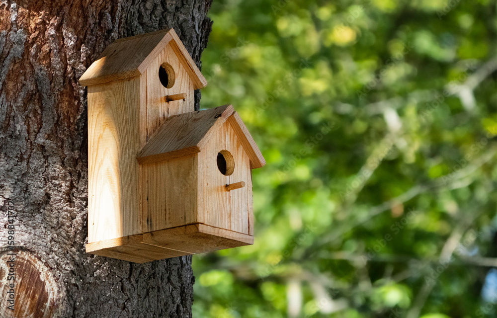 bird house on a tree bird house on a tree