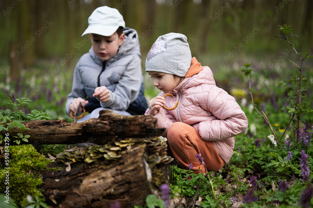 Brother with sister discover wood at spring forest. Brother with sister discover wood at spring forest.