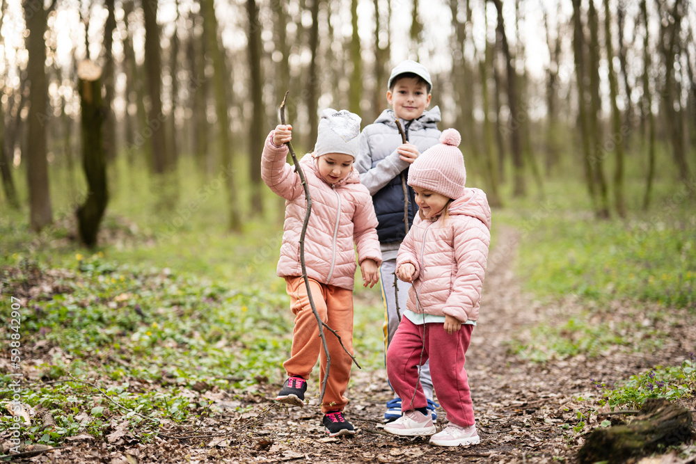 Fototapeta premium Three kids hiking and discovering spring forest. Happy childhood.