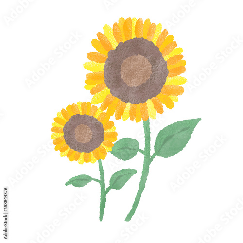 Two sunflowers, summer flowers, simple and cute hand drawn watercolor and colored pencil illustration / 2本のひまわり、夏の花、シンプルでかわいい手描きの水彩と色鉛筆のイラスト