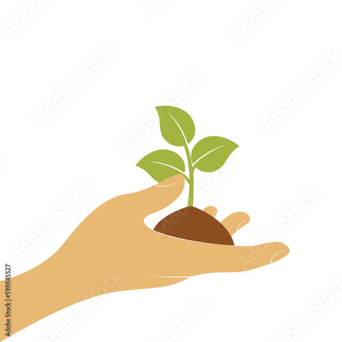 hand holding a plant