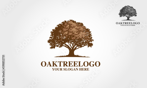 Oak Tree Vector Logo Template this beautiful tree is a symbol of life, beauty, growth, strength, and good health.