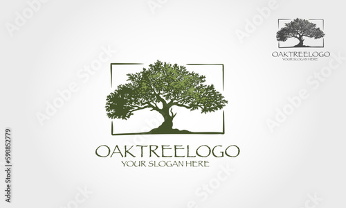 Oak Tree Vector Logo Template. Vector silhouette of a tree.