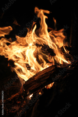 a campfire burns in the night, lights on a black background