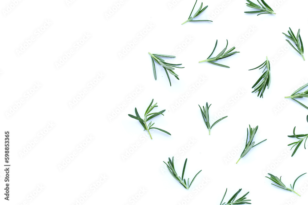 Fresh rosemary on white background. Fresh rosemary on white background.