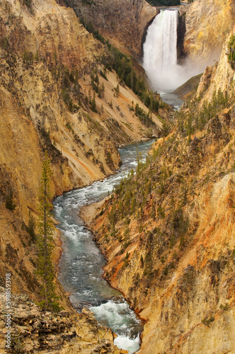 Lower Falls in Yellowstone National Park
