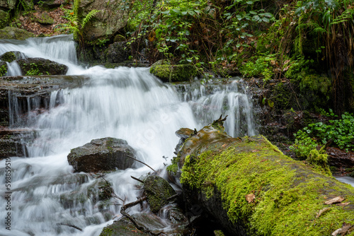 Hike along a small river in the forest
