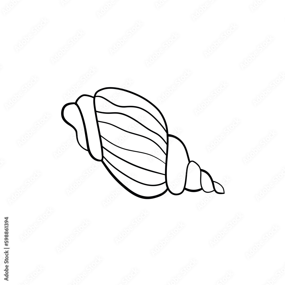Seashell vector illustration for your design Seashell vector illustration for your design