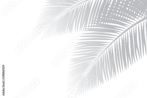 Shadow of palm leaves or coconut leaves right. Natural pattern, light gray shadow and Copy space