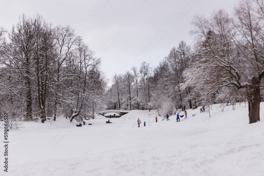 Snow-covered Alexander Park in Pushkin Snow-covered Alexander Park in Pushkin