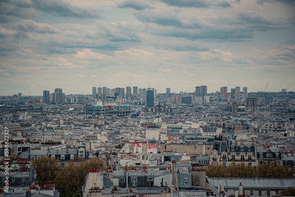 view of the big paris city