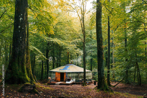Glamping among trees in forest